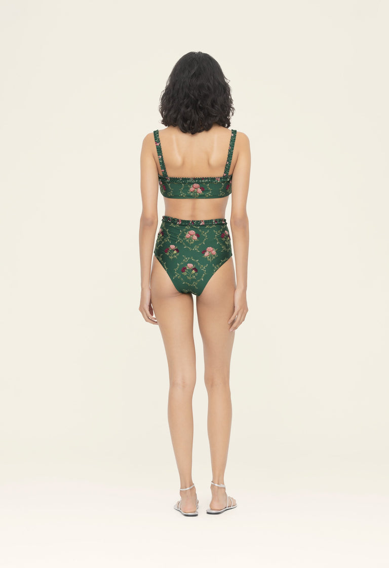 Horizontes-Nopal-Memoria-Bikini-Bottom-16846-3.jpg - 4
