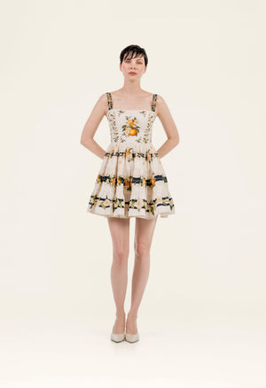 Maria-Lima Valle Mini Dress-20840-1.jpg