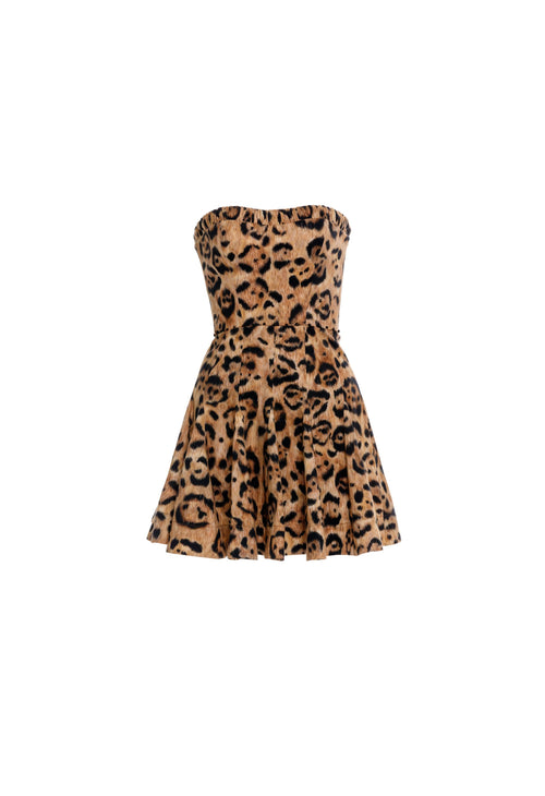 Main image -   Secreto-Caudal-Jaguar-Mini-Dress-19274-6-HOVER.jpg
