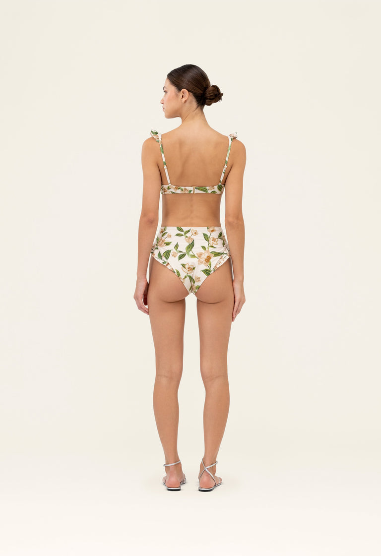 Secreto-Jengibre-Orquidea-Bikini-bottom-19263-4.jpg - 4