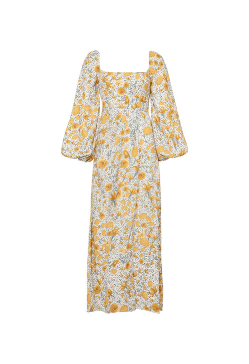 Main image -   Vida-Capullo-Maxi-Dress-14972-HOVER