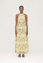 Acanella-Habitat-Maxi-Dress-13377
