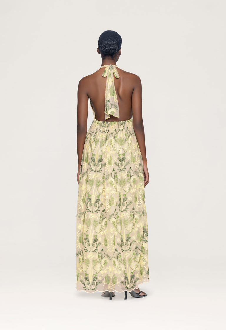 Acanella-Habitat-Maxi-Dress-13377 - 2