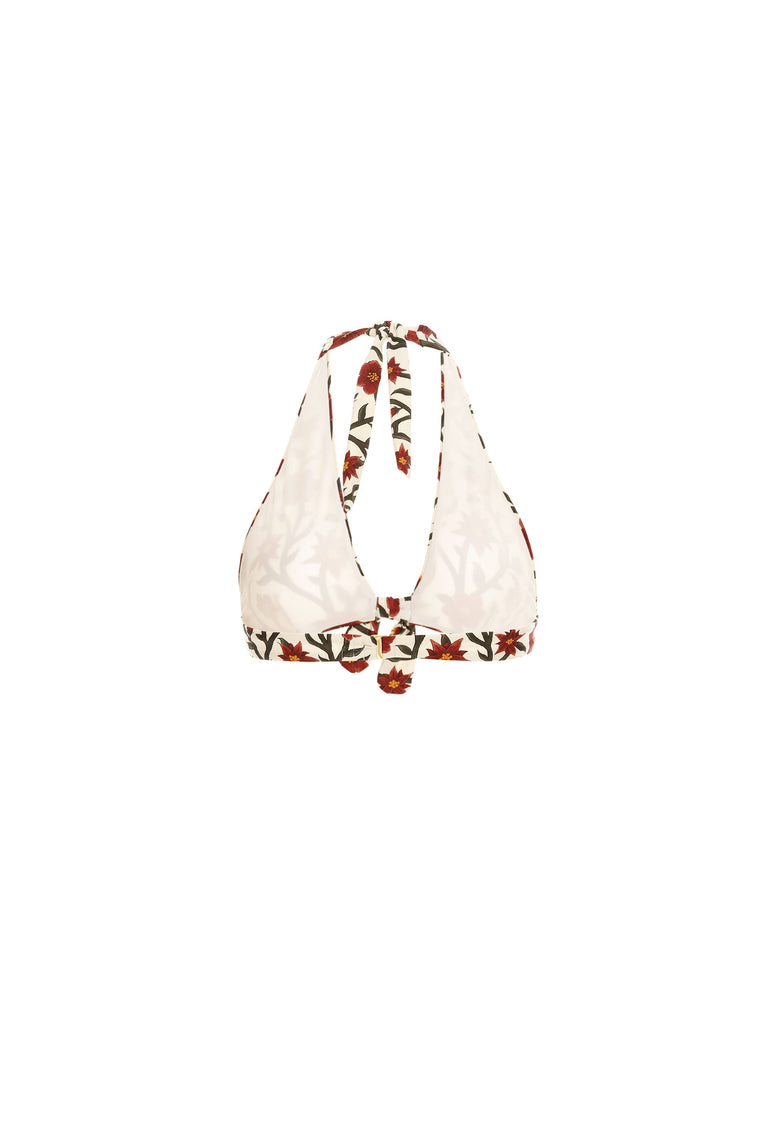 Carambolo-Mandevilla-Scarlet-Red-Bikini-Top-8545 - 5