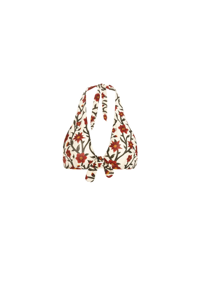 Carambolo-Mandevilla-Scarlet-Red-Bikini-Top-8545-HOVER - 4