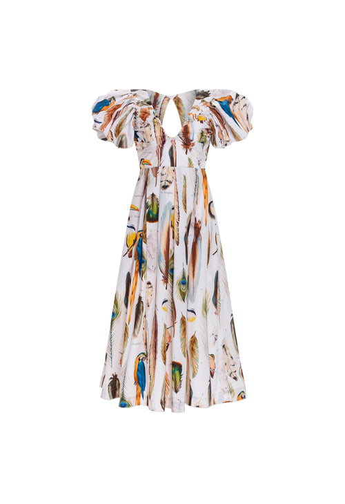 Hover Alternative image -   Chontaduro-Pluma-Cotton-Midi-Dress-12653-HOVER