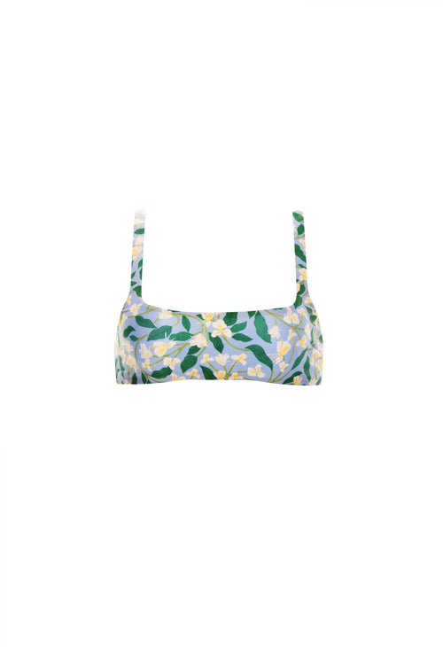 Hover Alternative image -   Havana-Dos-Gardenias-Celeste-Bikini-Top-9660-HOVER