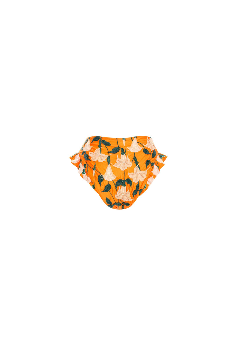 Jengibre-Sabanero-Dorado-Hand-Embroidered-Bikini-Bottom-11203 - 5