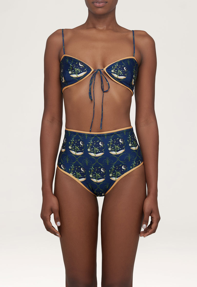 Magenta-Estelar-Bikini-Bottom-12584 - 3