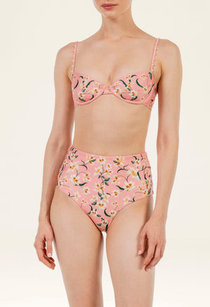 Maria-Magenta Promesa Bikini Bottom-20898-5.jpg