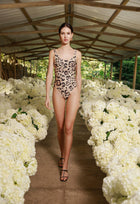 Secreto-Gema-Jaguar-One-piece-19272-2.jpg